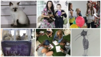 Отчет выставка-продажа котят «КоШарики шоу» в Южном Парке!