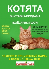 Выставка-продажа котят «КоШарики шоу» в Южном Парке!